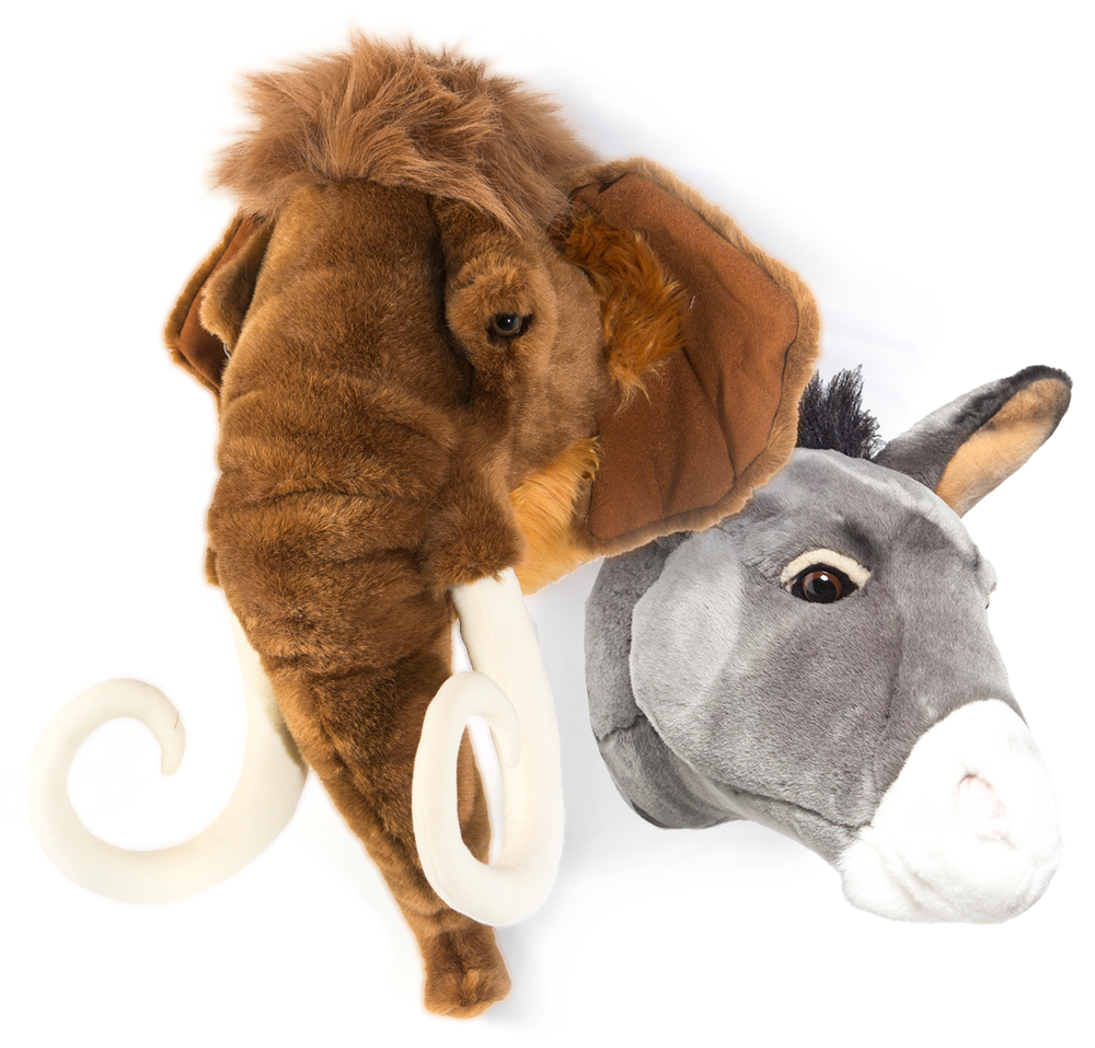 Heads