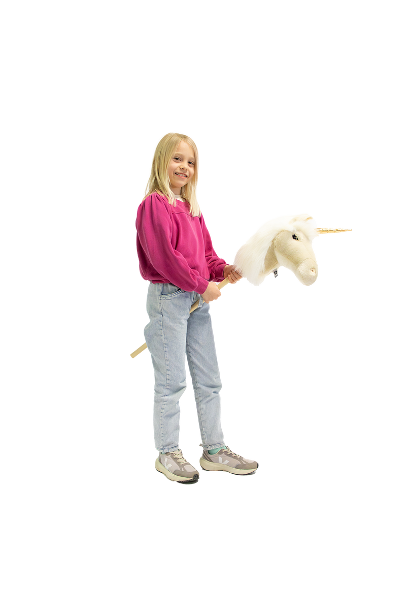 Hobby Unicorn