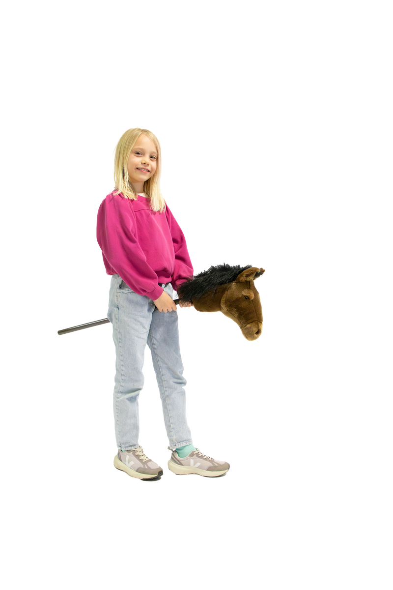Hobby Horse