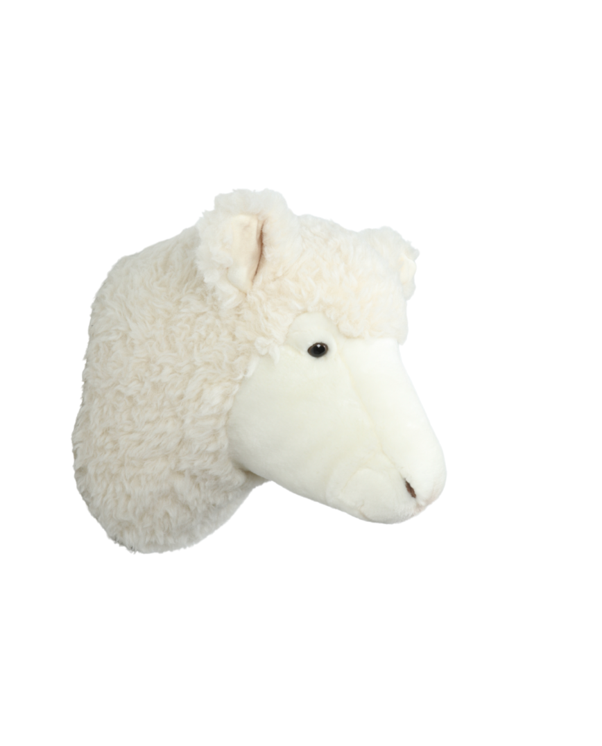 Harry the sheep