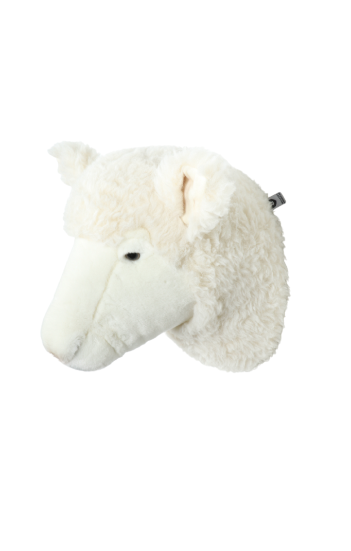 Harry the sheep