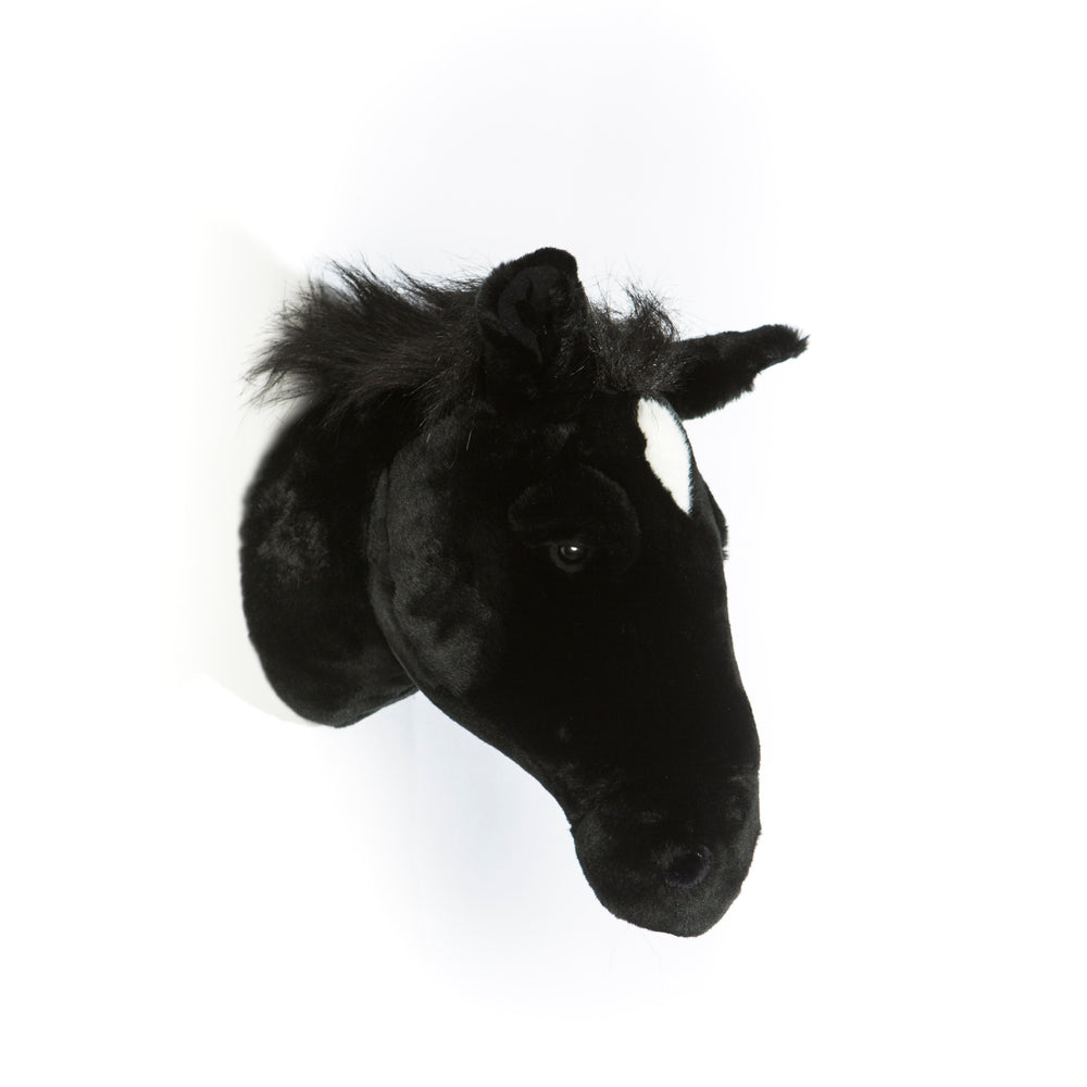 Peter the black horse