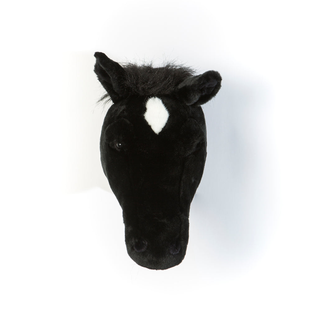 Peter the black horse