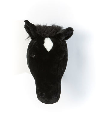 Peter the black horse