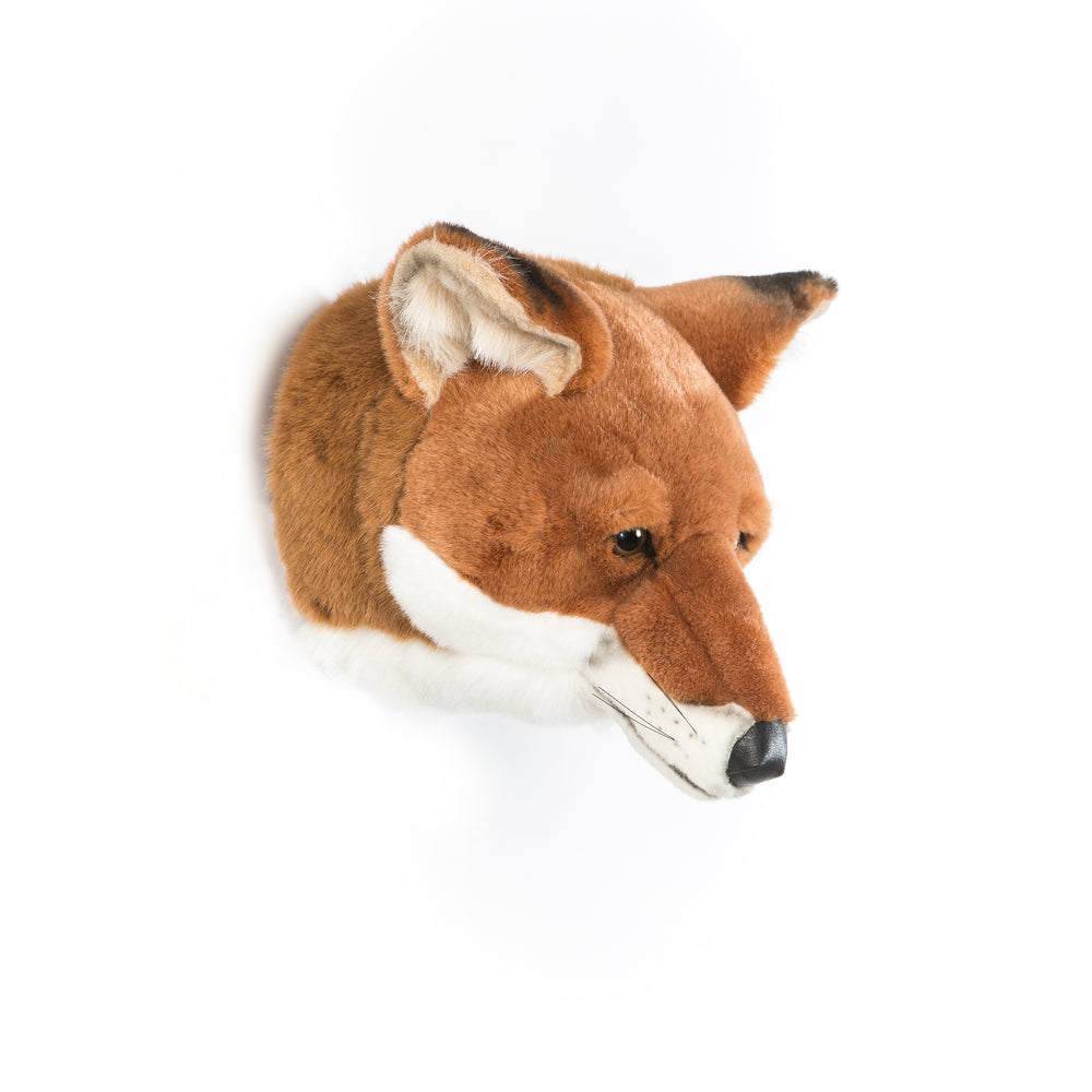 Louis the Fox