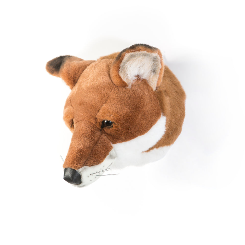 Louis the Fox