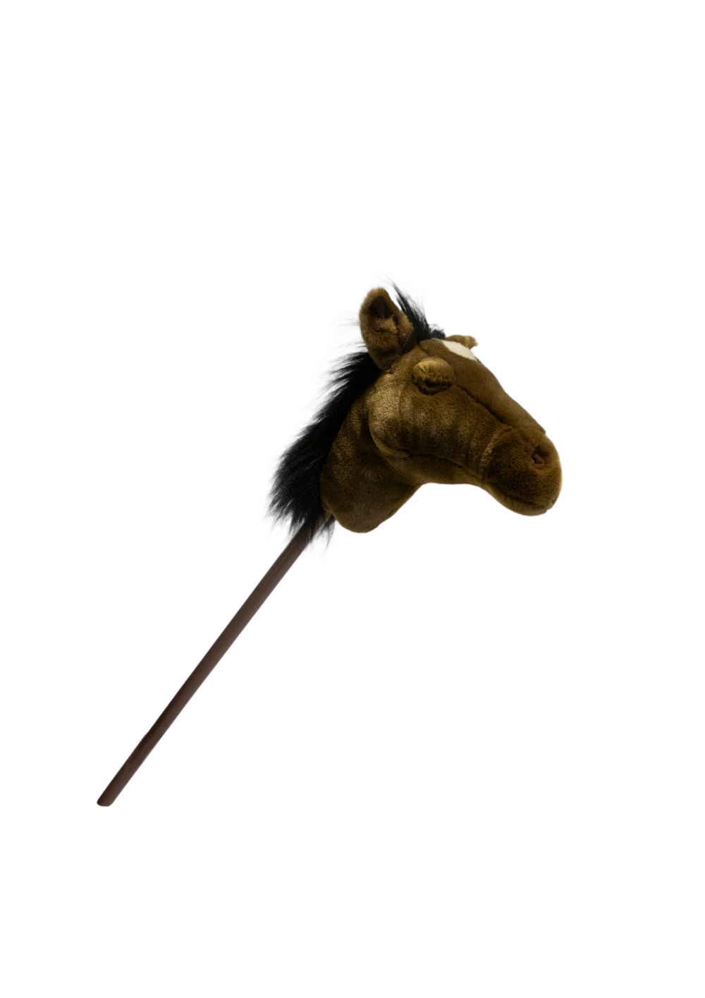 Hobby Horse