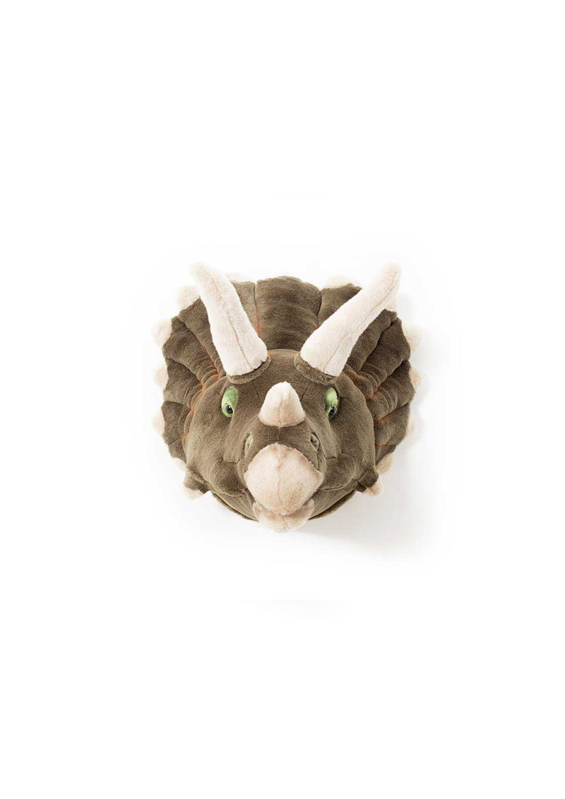 Adam le triceratops