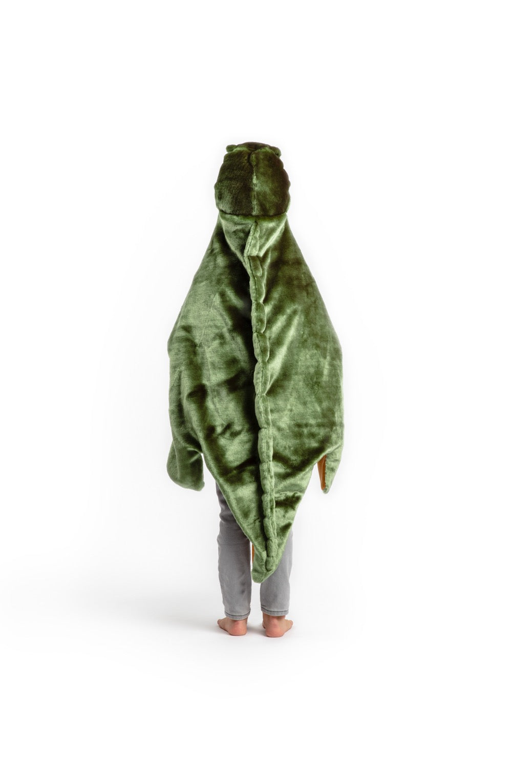 Déguisement T-rex