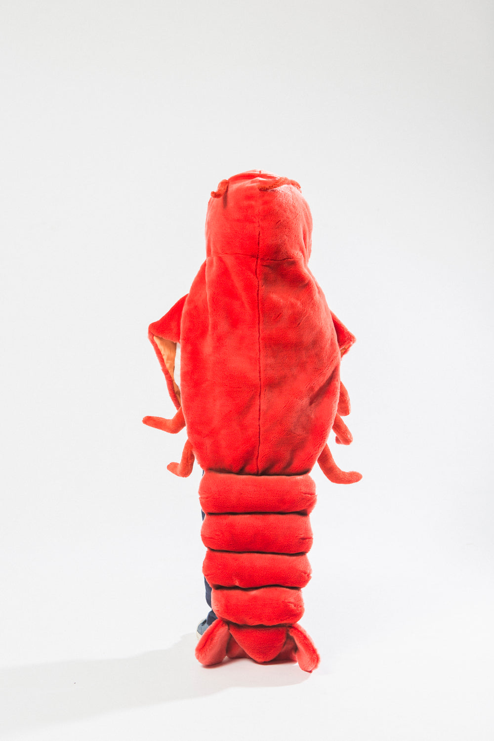 Déguisement homard