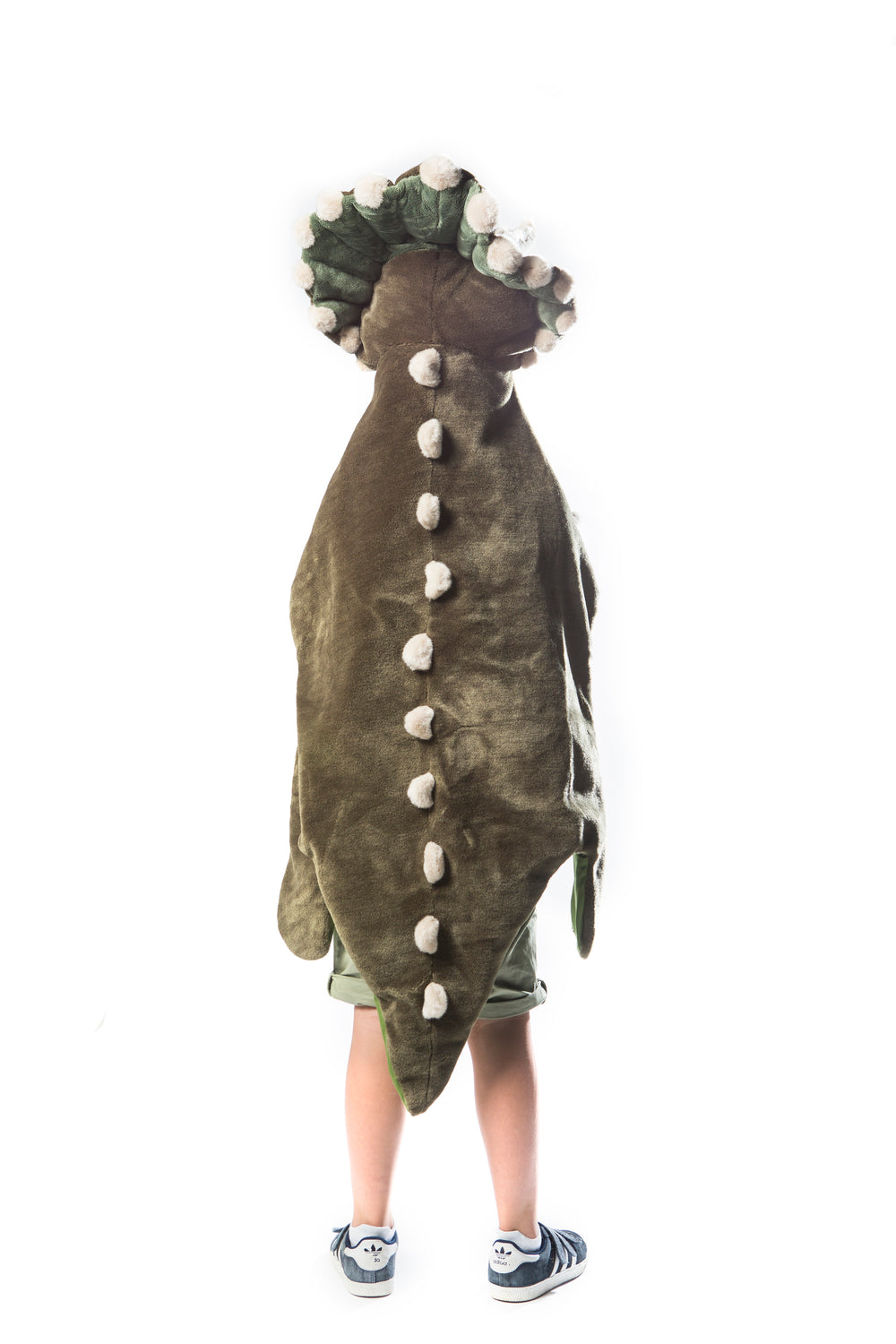 Déguisement dino