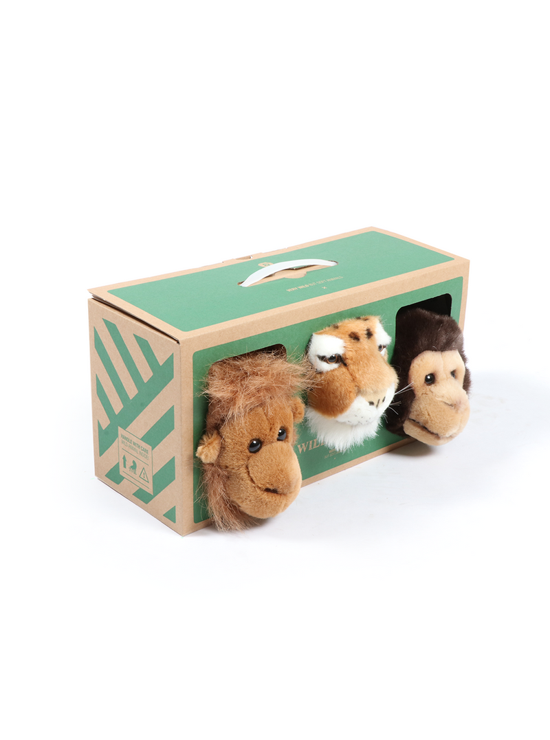 Coffret de jungle