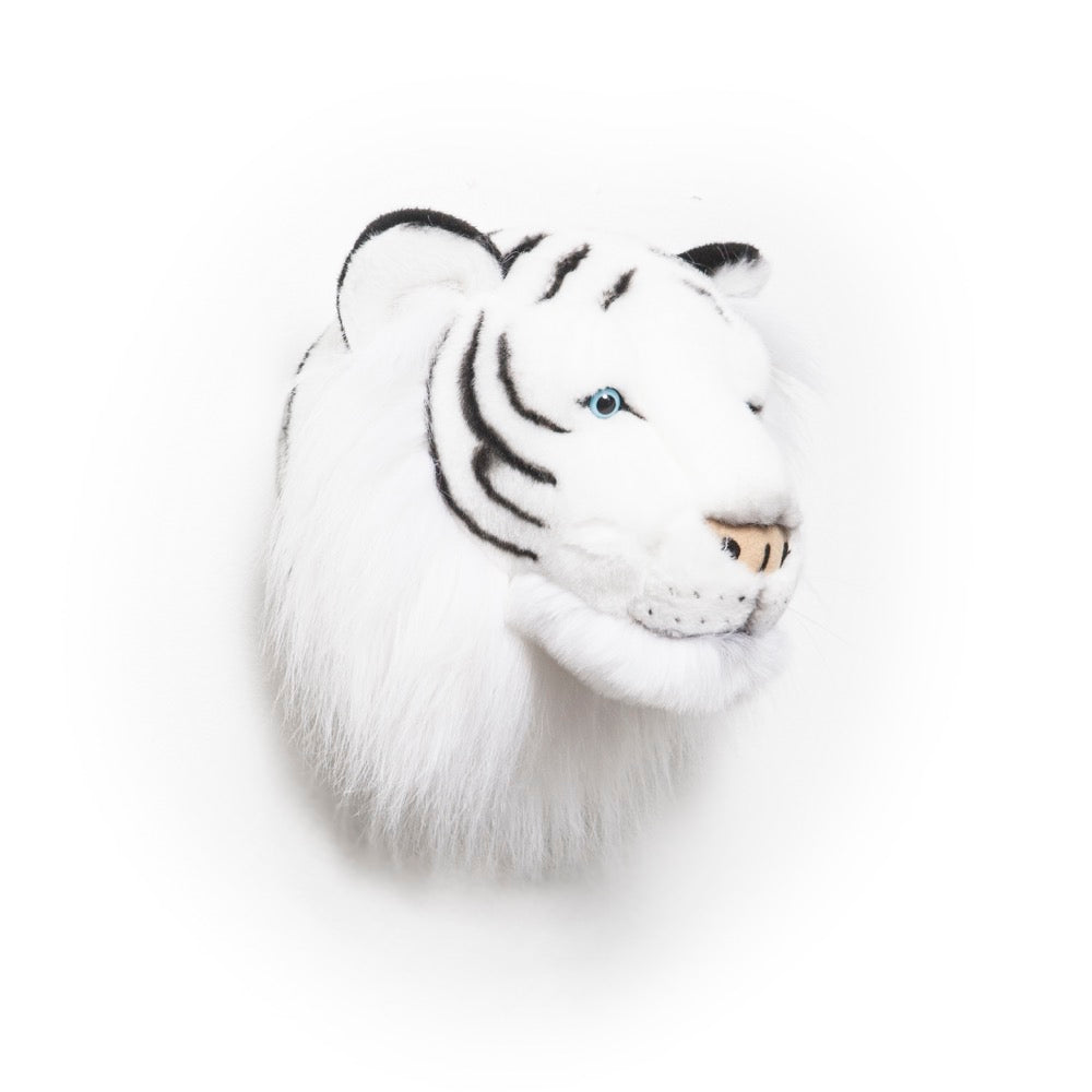 Albert the white tiger