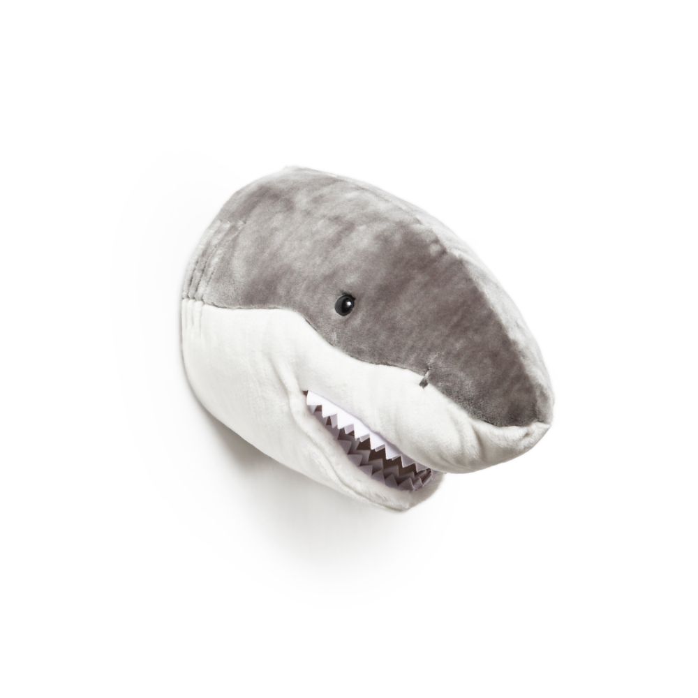 Jack the shark