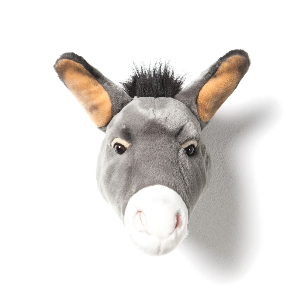 Francis the donkey