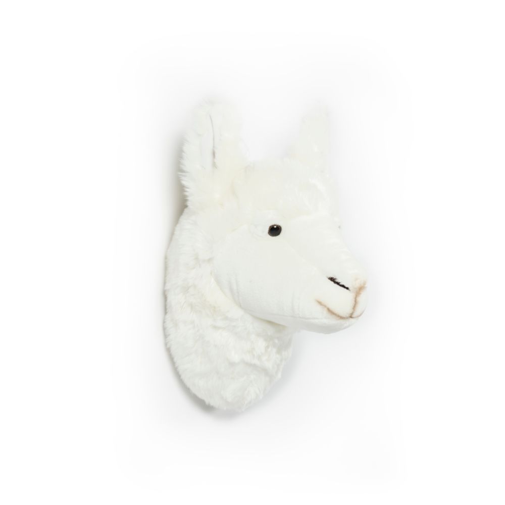 Lily the Llama