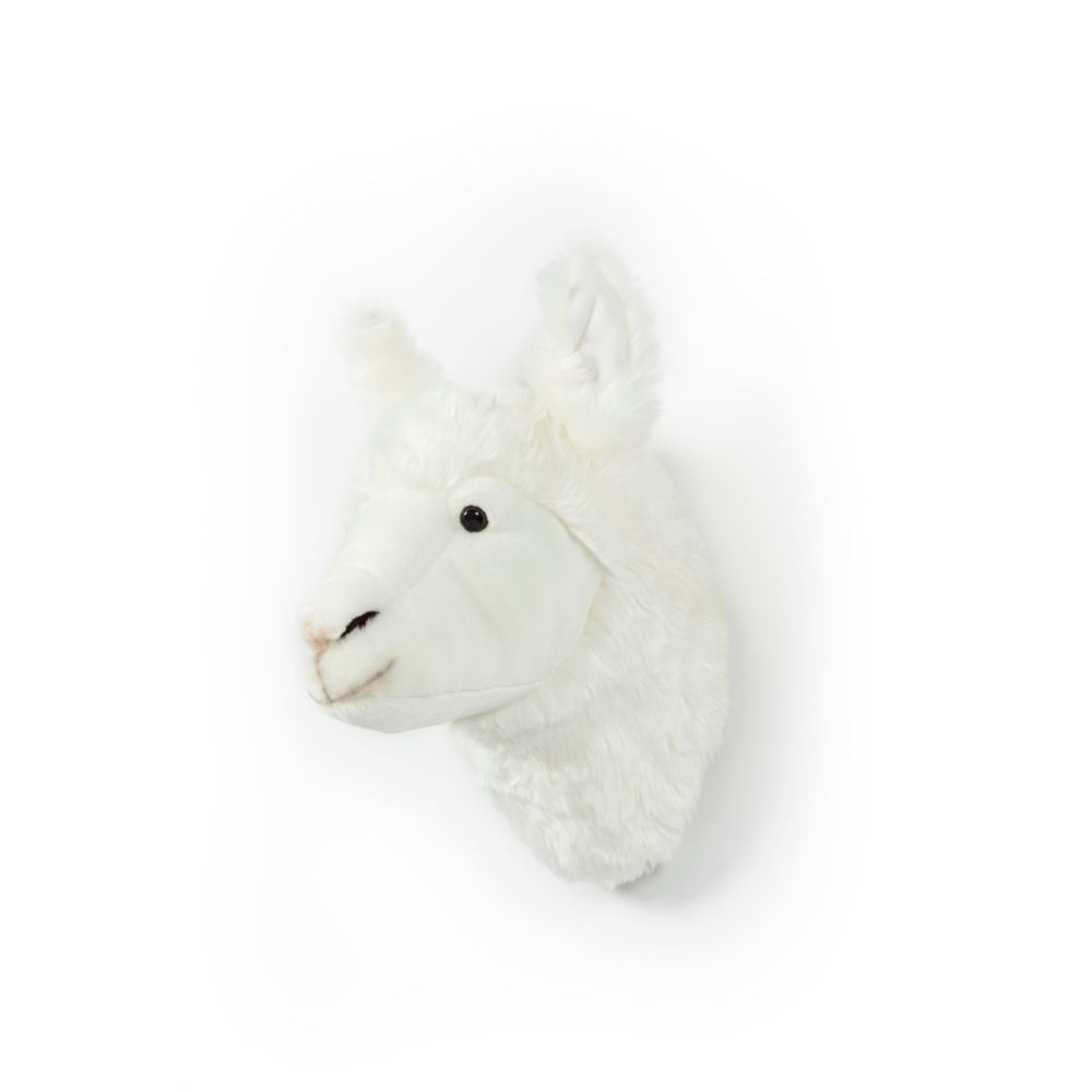 Lily the Llama