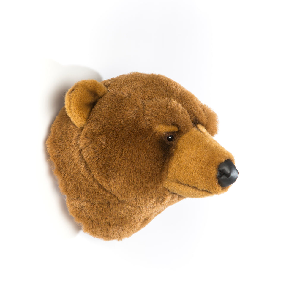 Oliver the brown bear