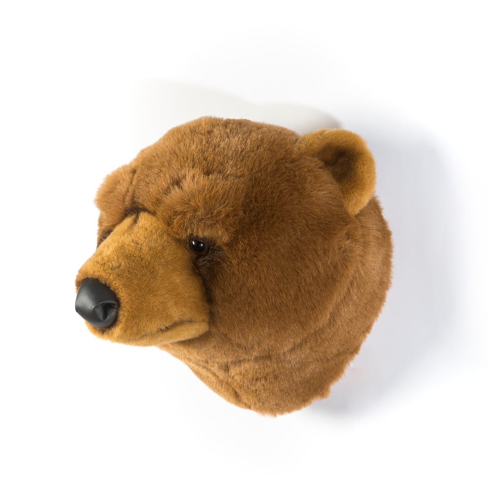 Oliver the brown bear