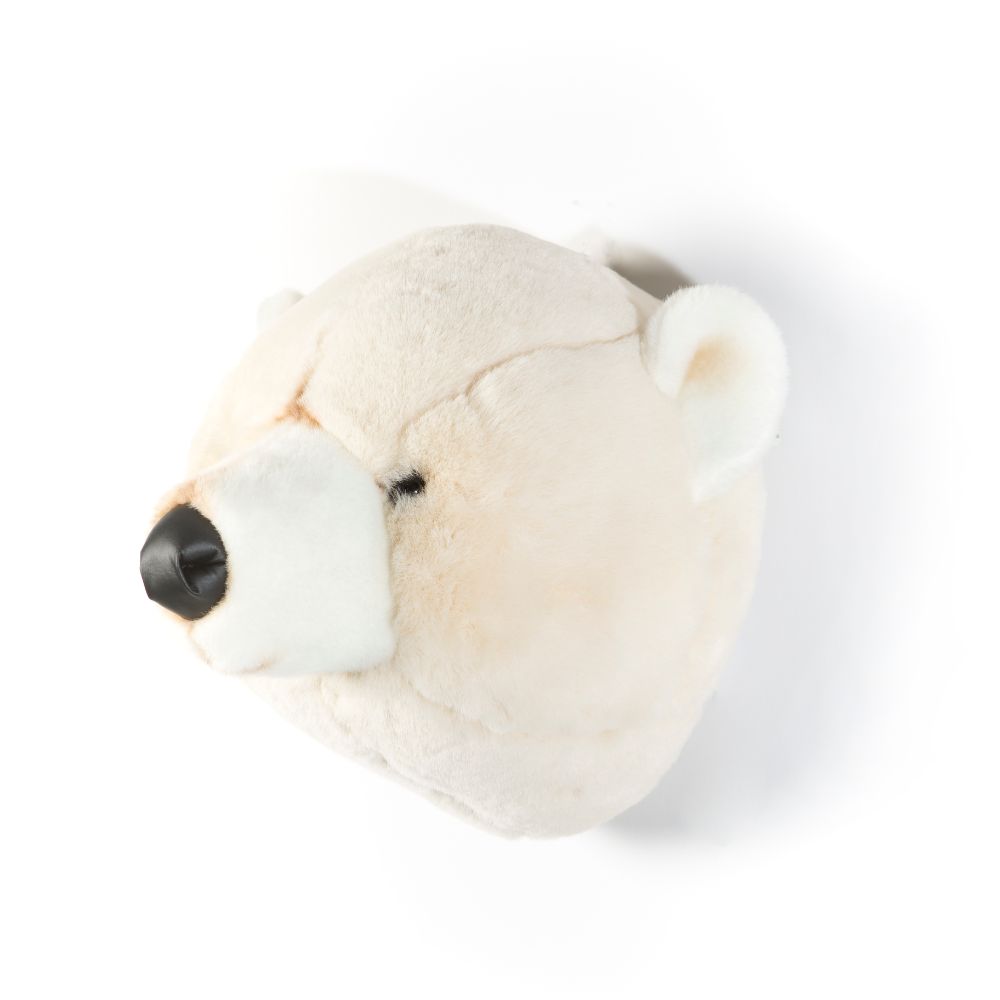 Basile the polar bear