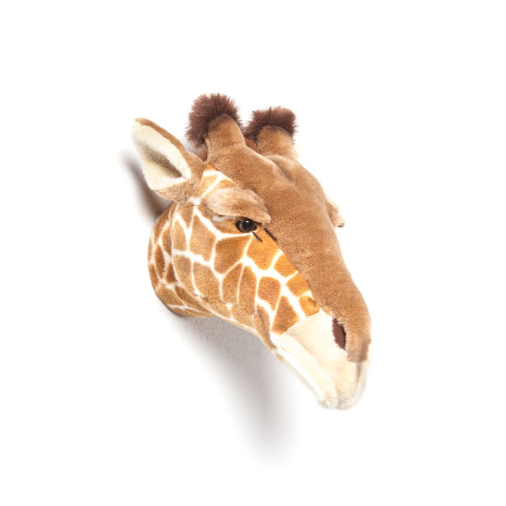 Ruby the giraffe