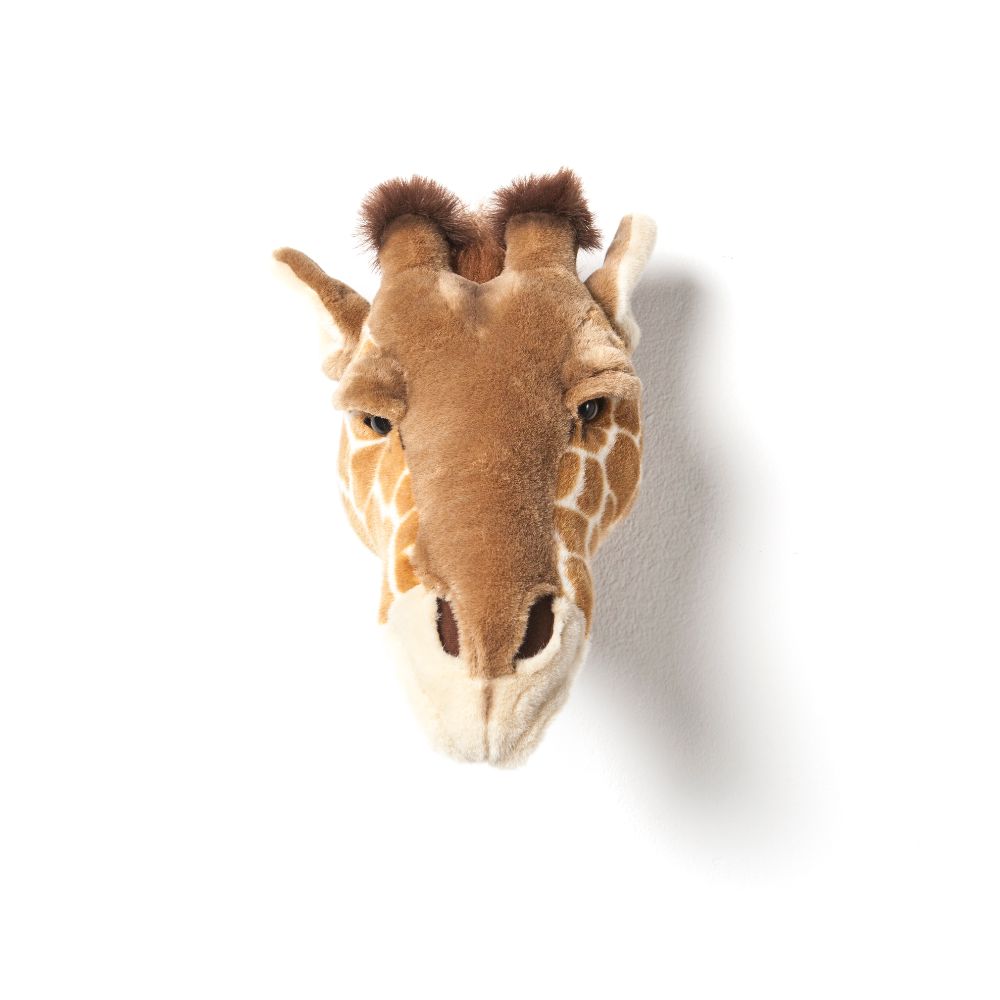 Ruby the giraffe