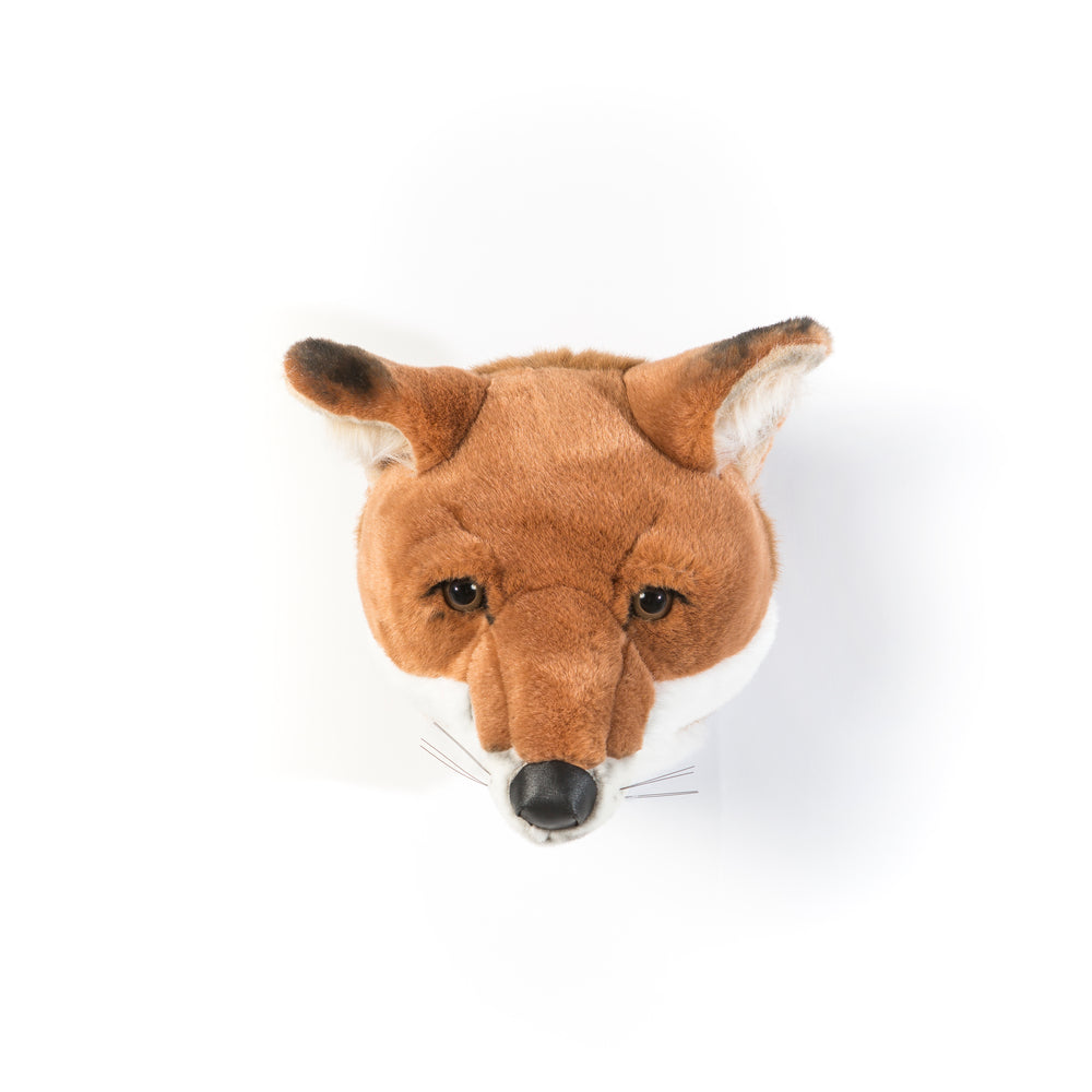 Louis the Fox