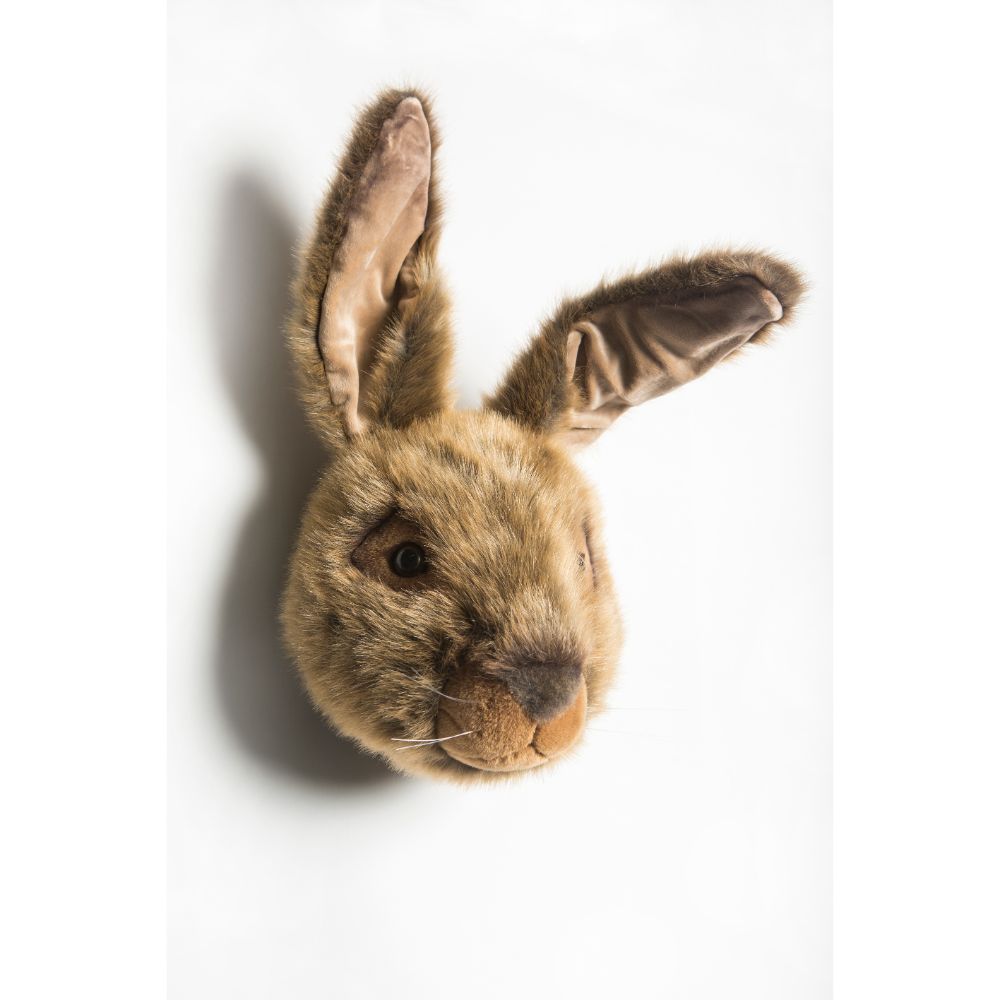 Lewis the hare