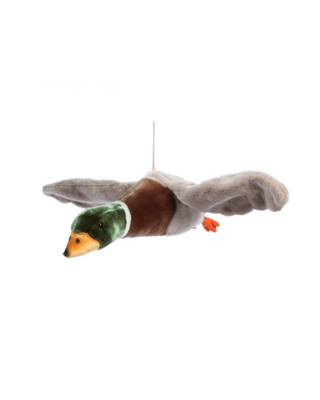 Alain the flying duck
