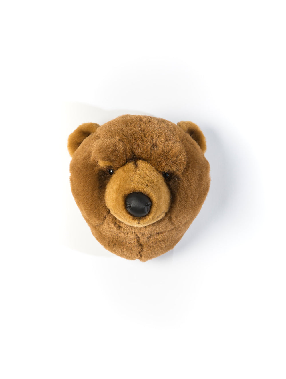 Oliver the brown bear