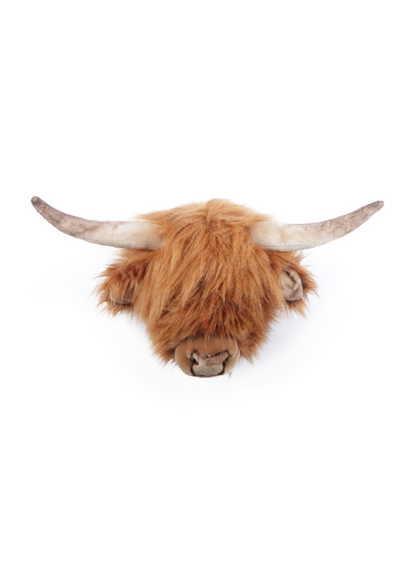 Nicolas La vache Highland