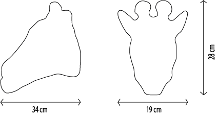 size-chart