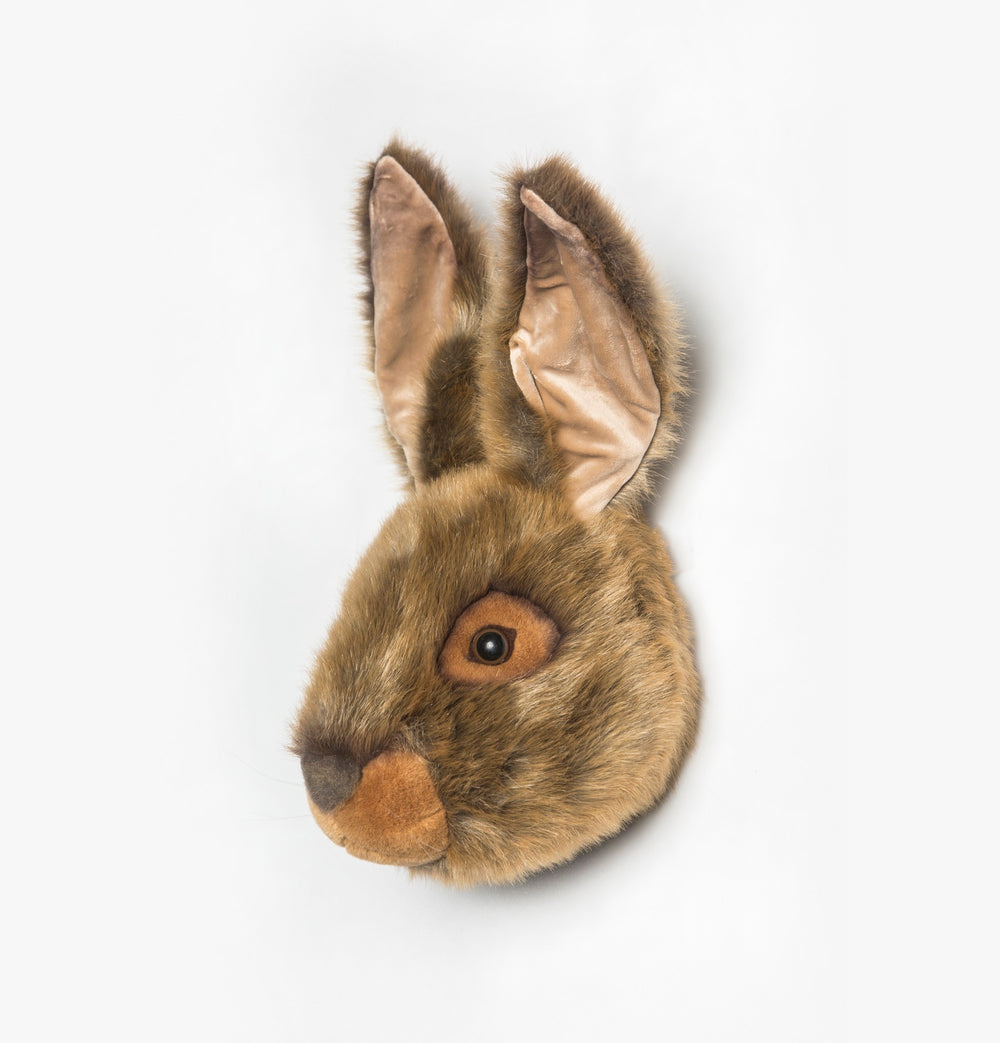 Lewis the hare