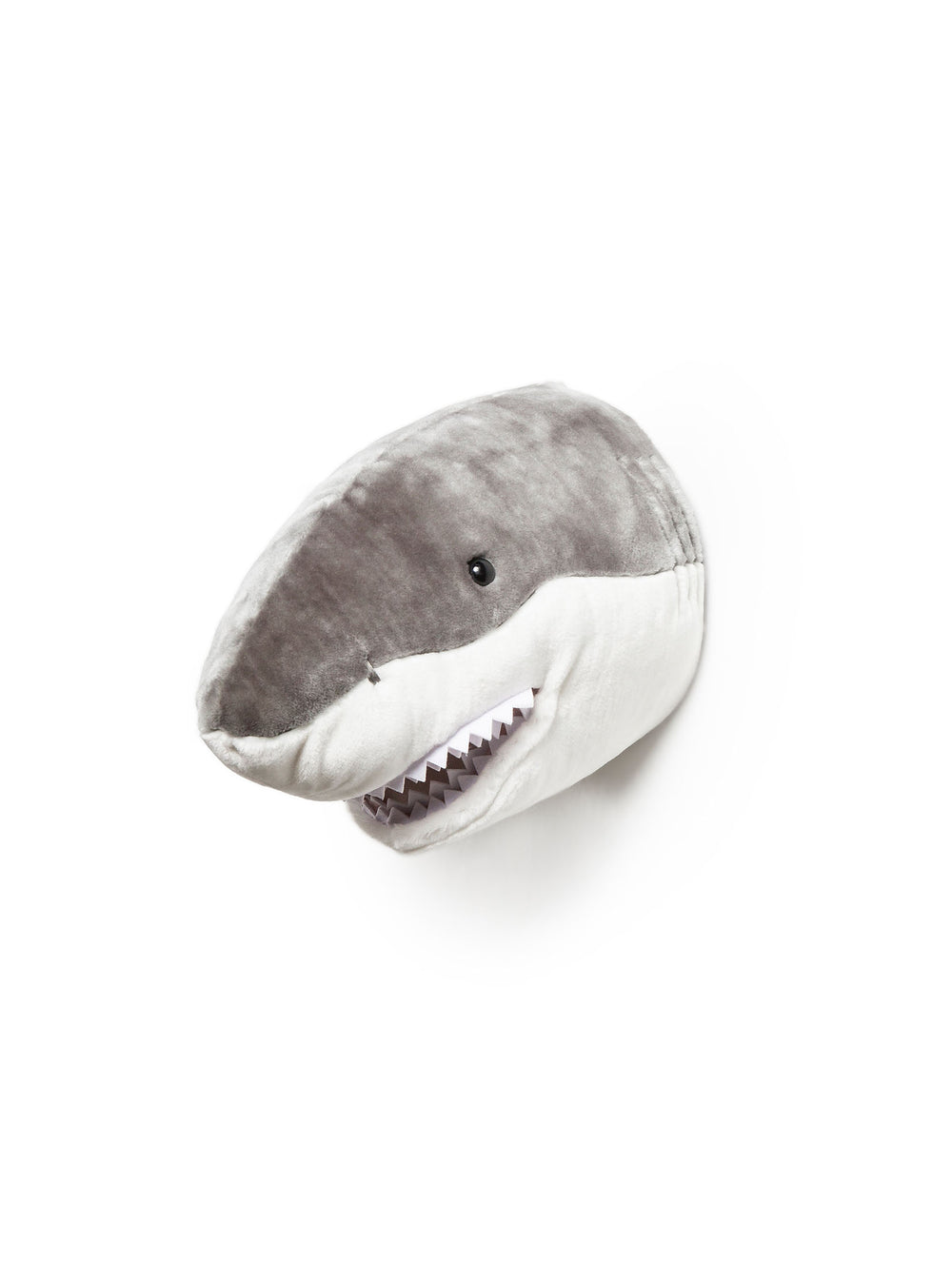 Jack the shark