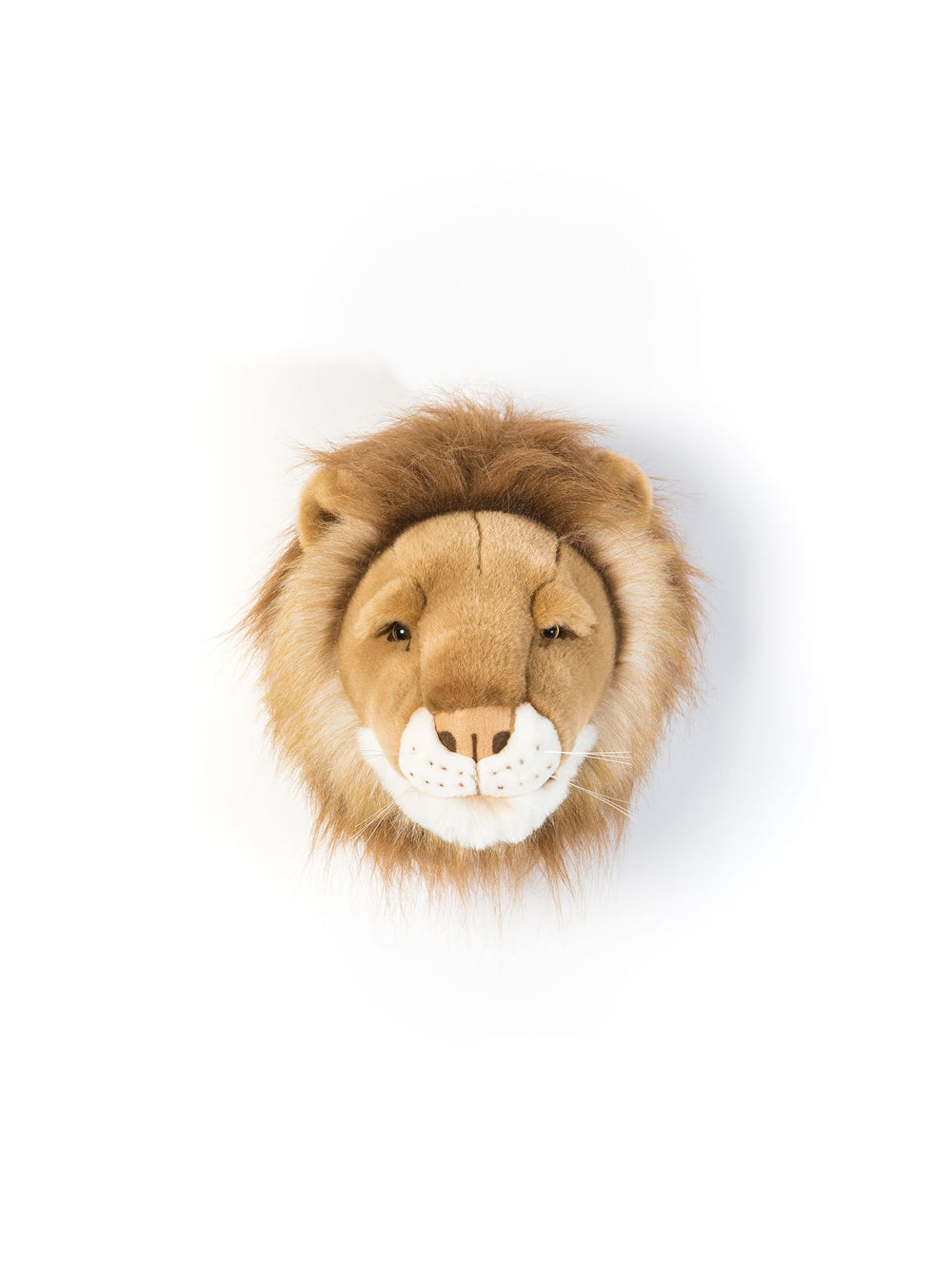 Cesar the lion