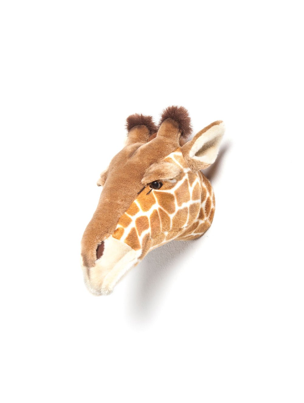 Ruby the giraffe