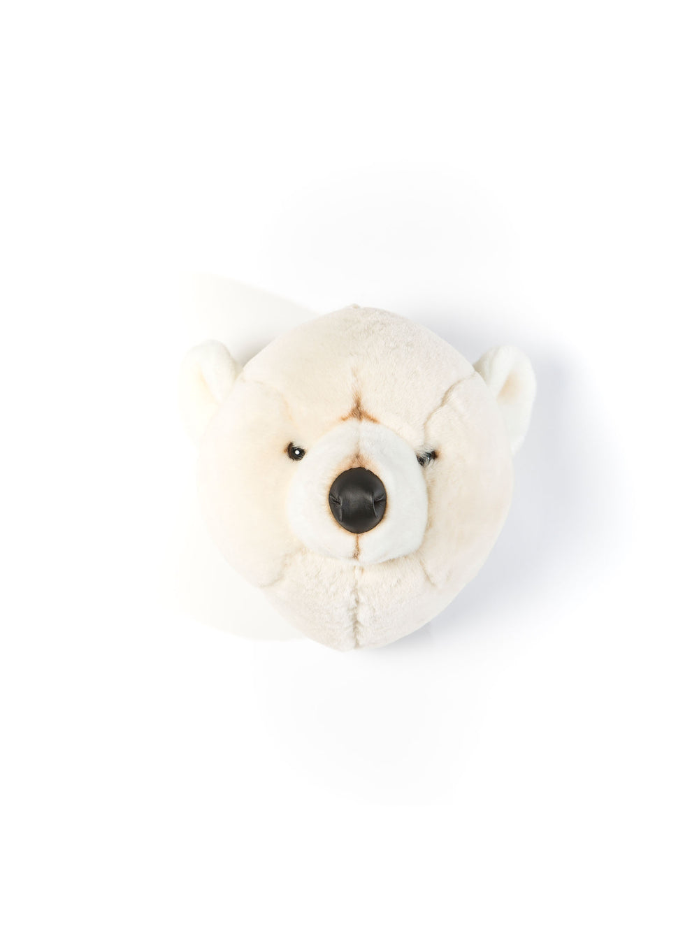Basile the polar bear