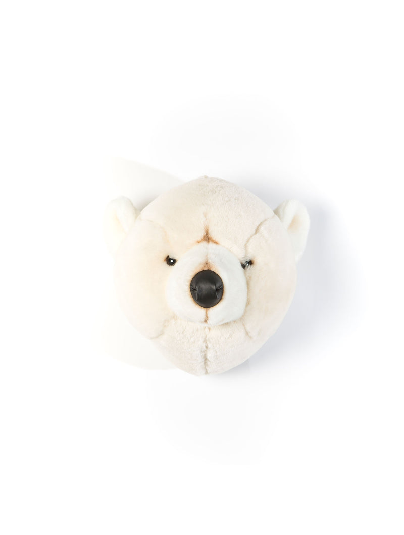 Basile l'ours polaire
