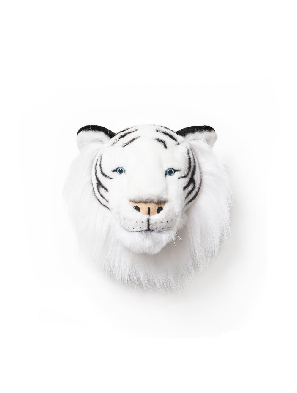 Albert the white tiger