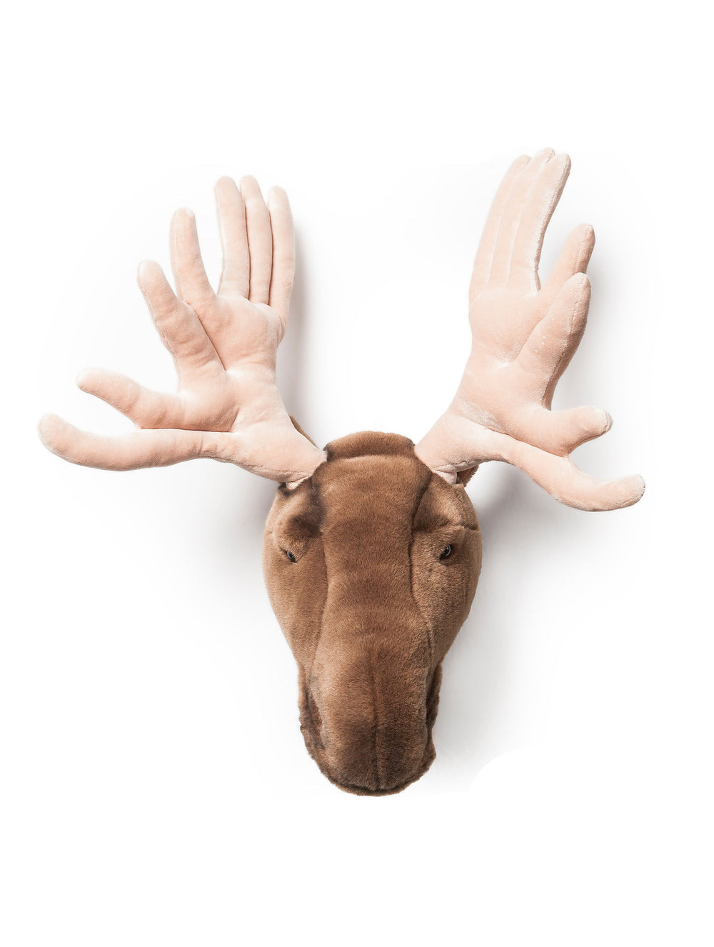 Alfred the moose