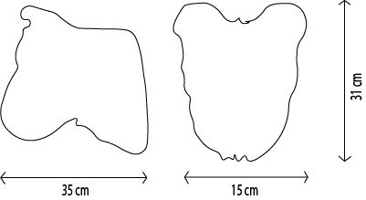 size-chart