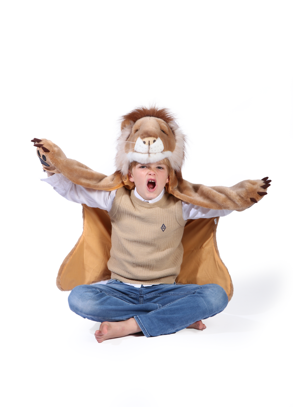 Déguisement lion