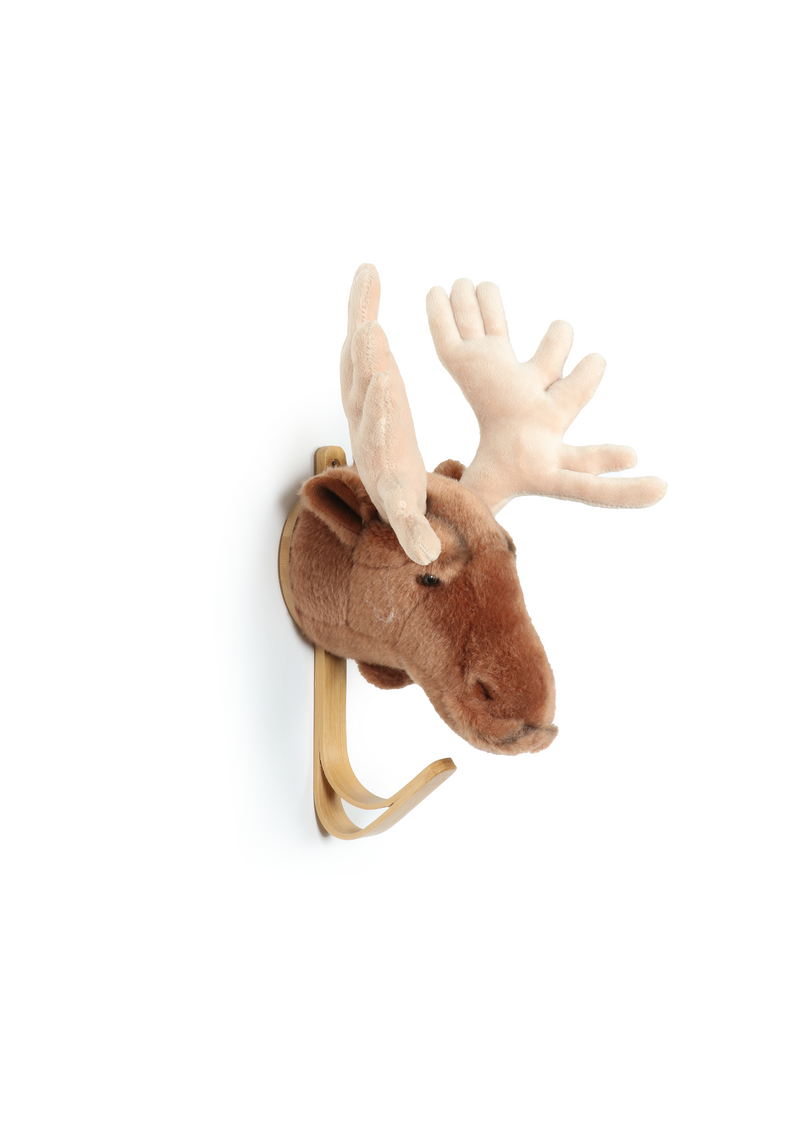 Moose coat hanger