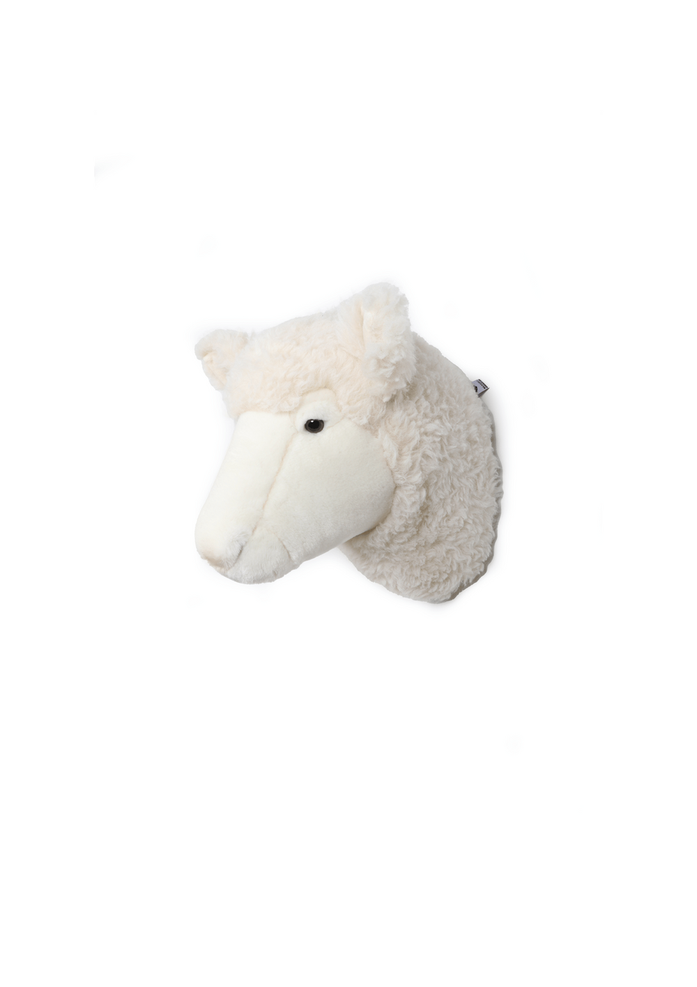 Harry the sheep
