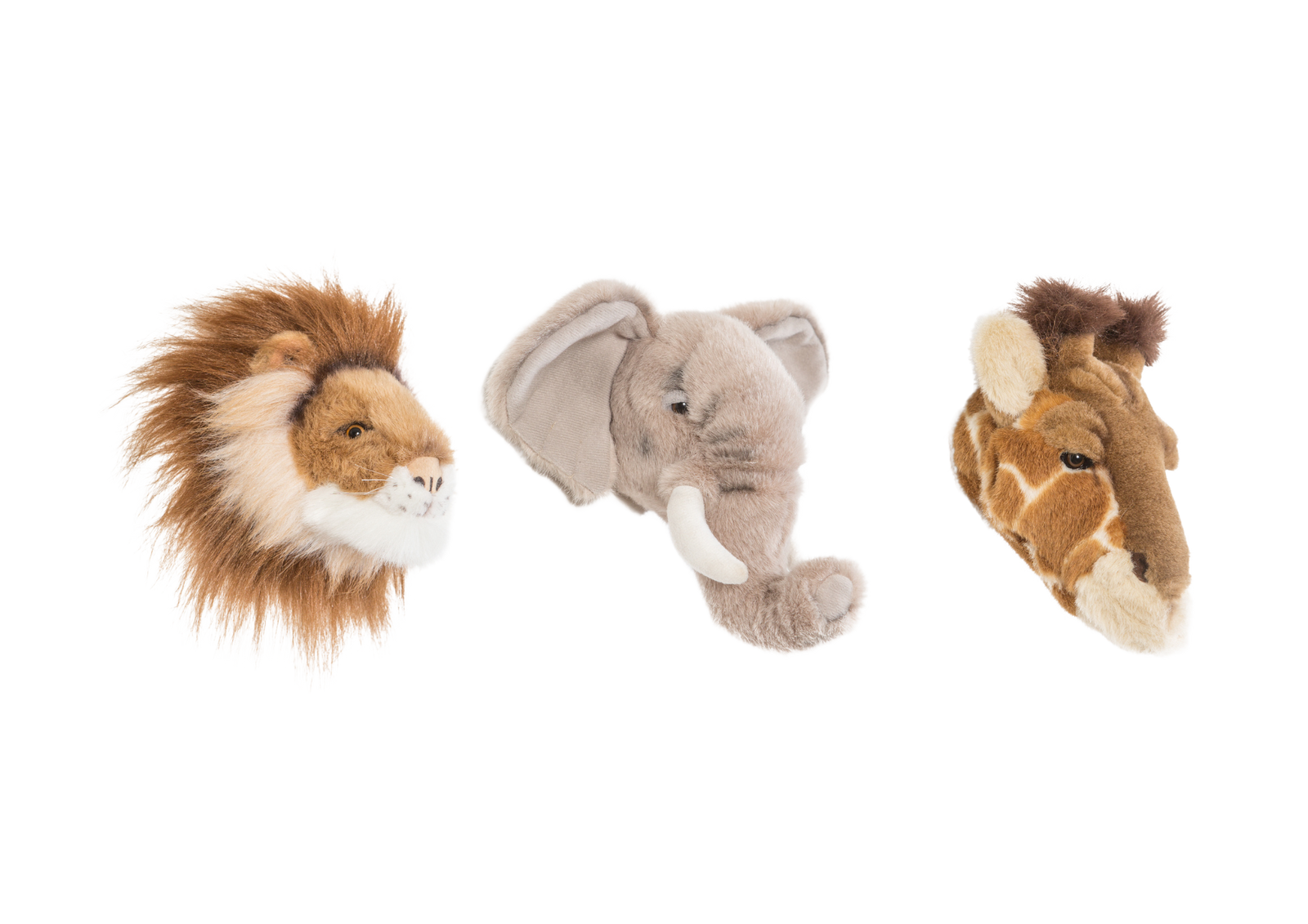 Mini Heads – Wild & Soft Mini Heads – Wild & Soft