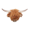Nicolas the Highland cow