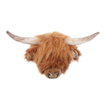 Nicolas the Highland cow
