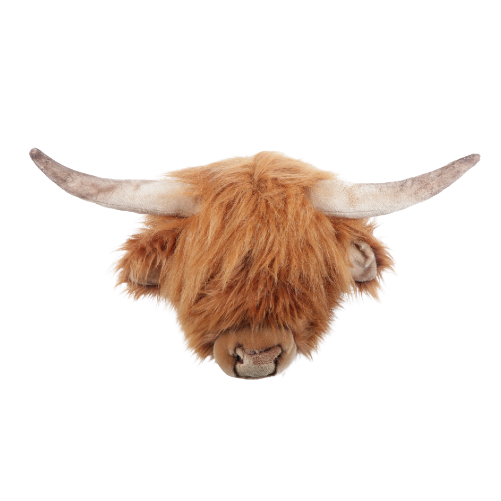 Nicolas the Highland cow