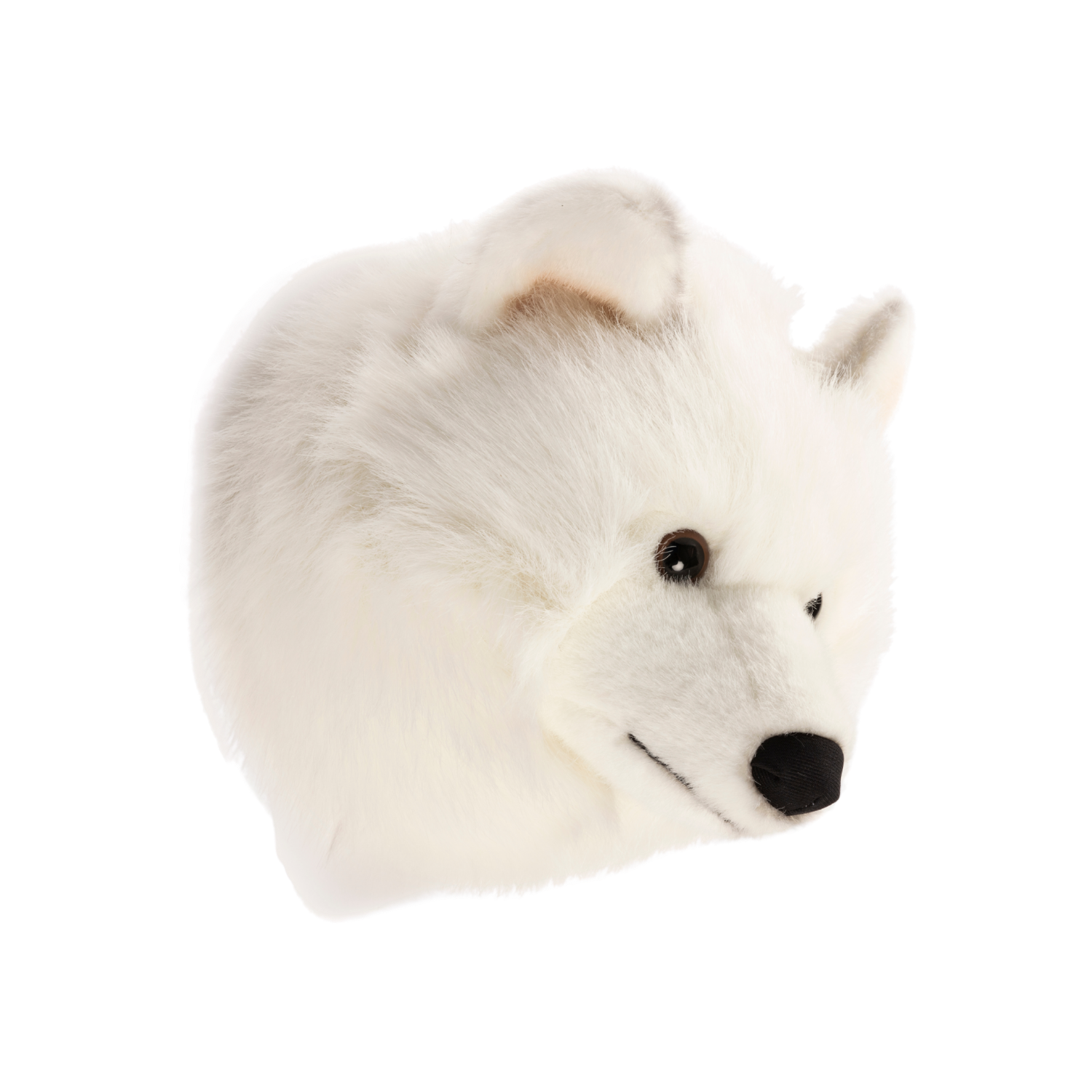 Lucy the White Wolf - Medium Head