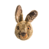 Lewis the hare